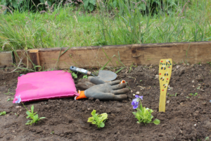 Pansies, plant label and tools